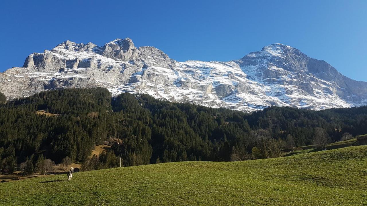 Chalet Bei Der Arve Grindelwald Dış mekan fotoğraf