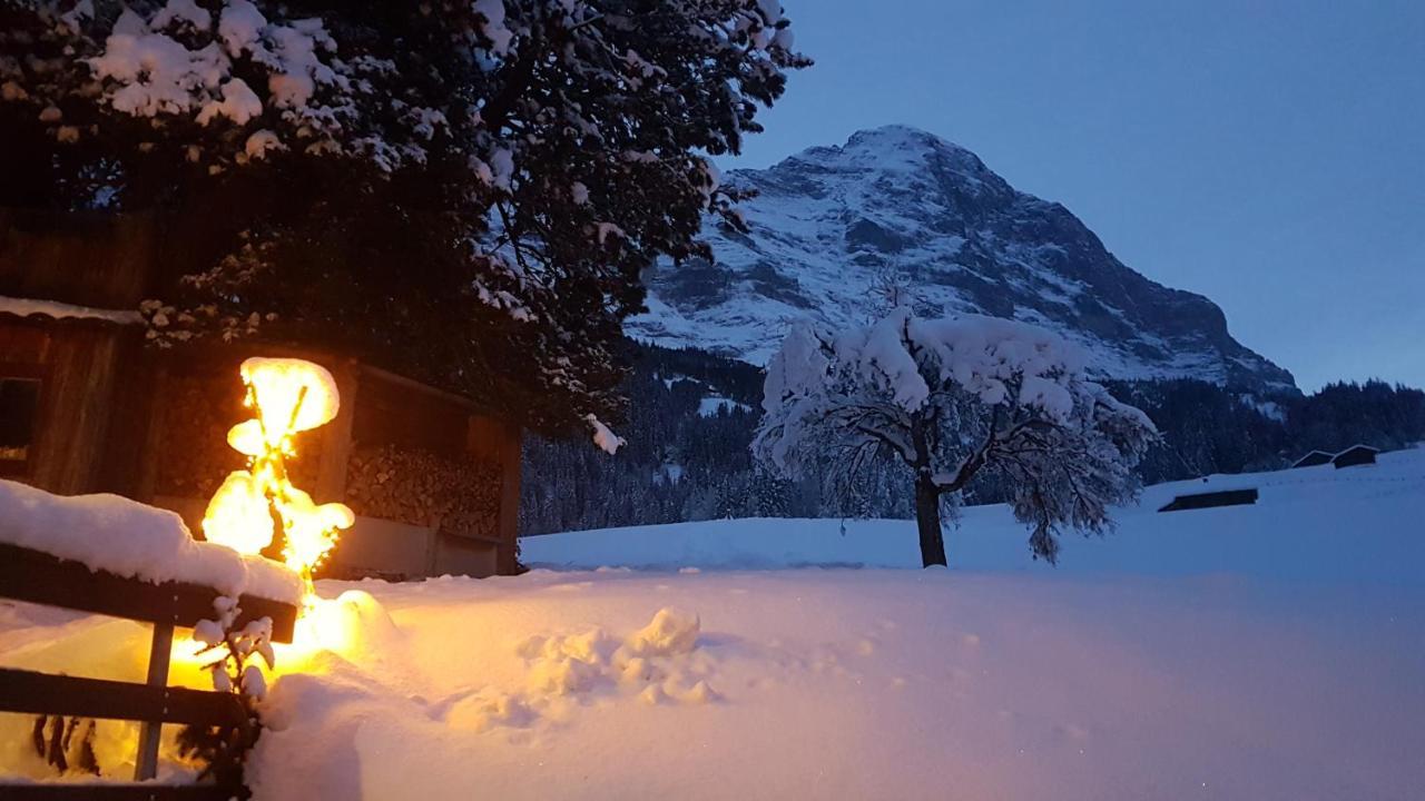 Chalet Bei Der Arve Grindelwald Dış mekan fotoğraf